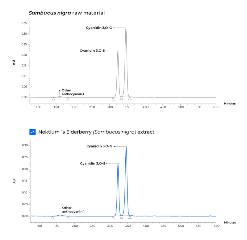 HPLC-Sambucus nigra extract-01- cropped