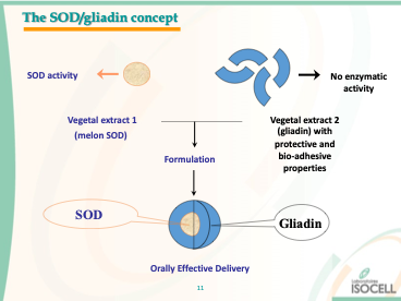 GliSODin-image-8