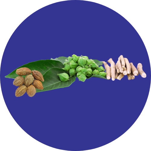 Spectramune ingredient circle