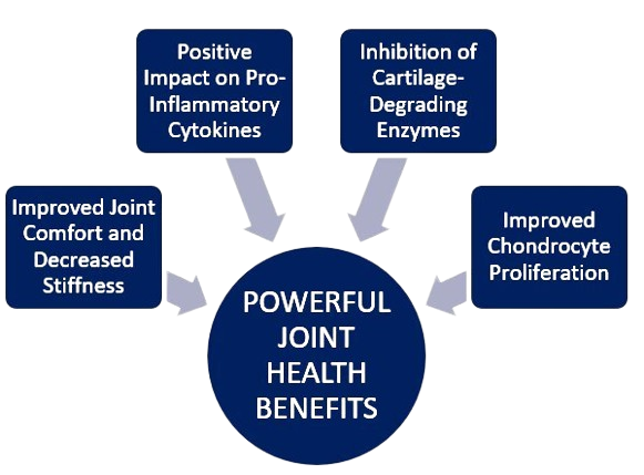 flexir-ingredient-benefits-boswellia-seratta-transparent-bg