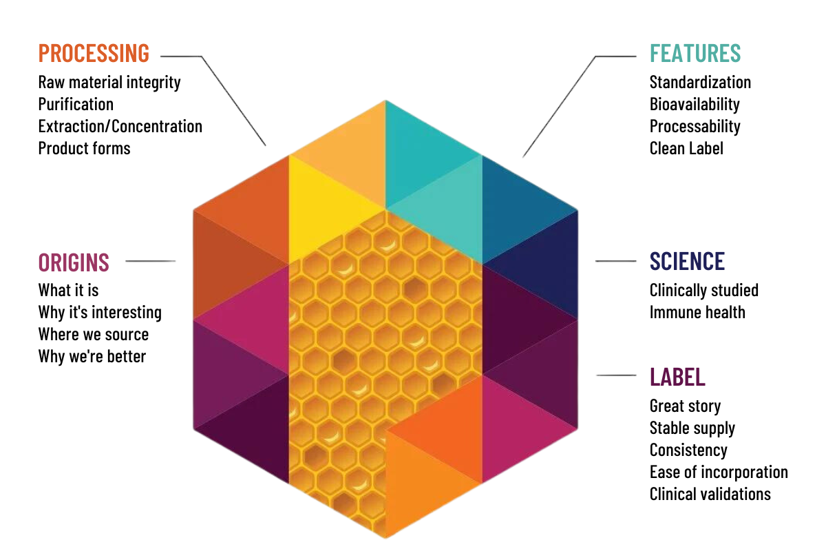 PROMUNEL Hex Illustration with callouts_transparent background