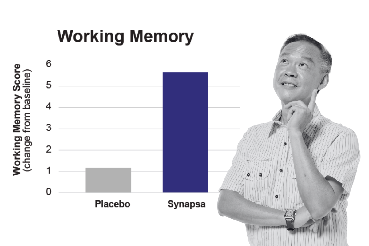 Synapsa Working Memory chart and image