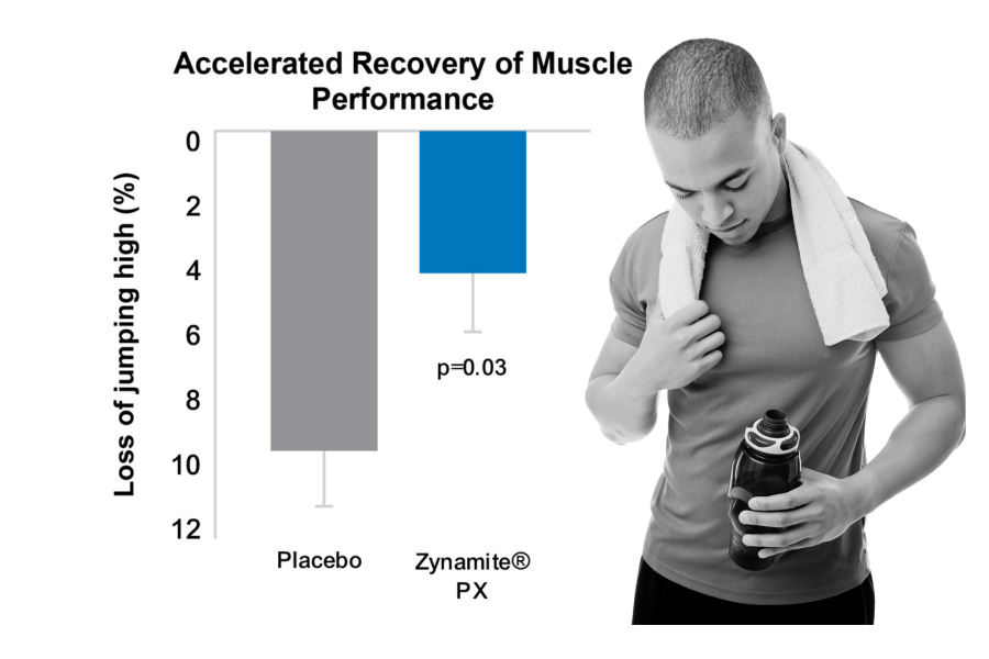 ZynamitePX Accelerated Recovery of Muscle Performance chart and image