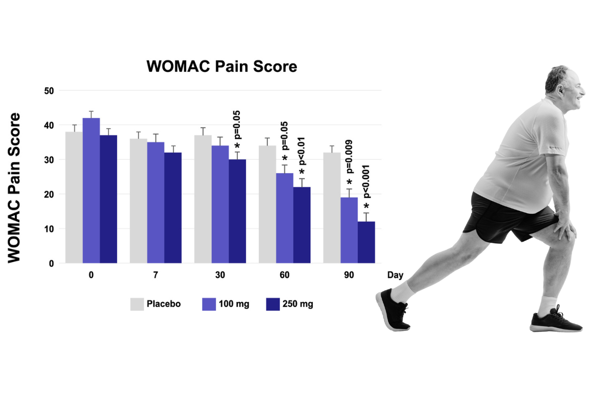 5-loxin Improves Joint Comfort and Physical Function chart