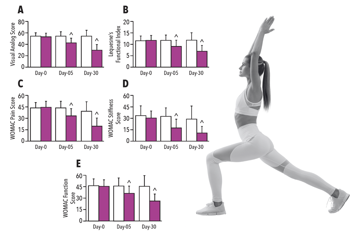 ApresFlex improves joint comfort and function chart with image