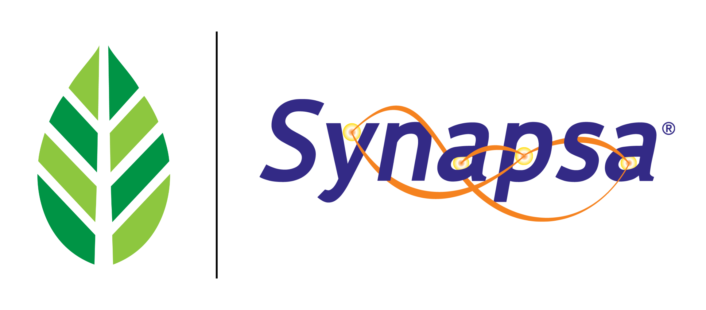 Synapsa PLT leaf