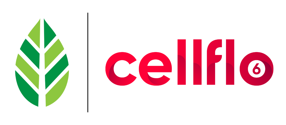 cellflo6 PLT leaf