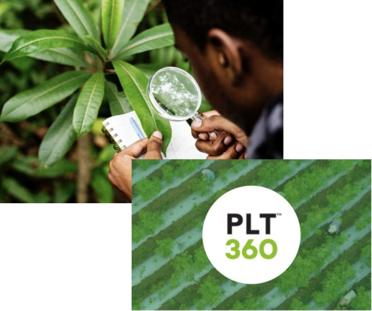 PLT Sustainability PLT 360