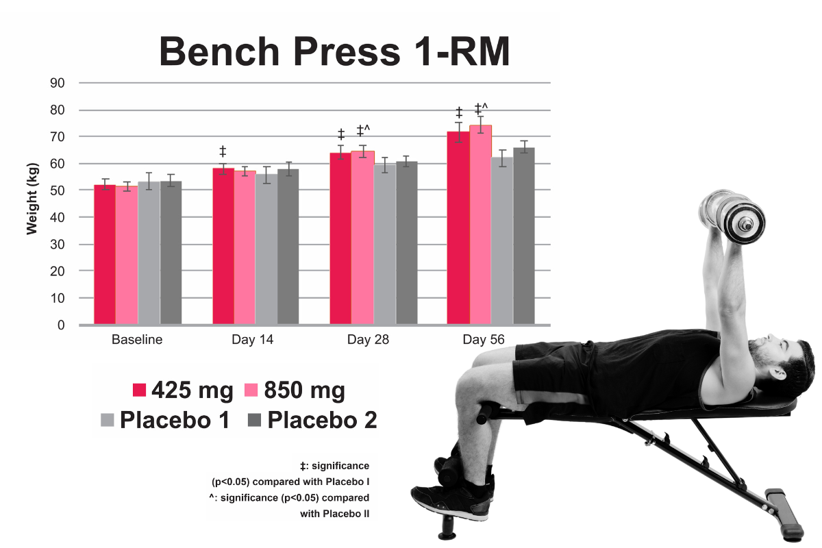 RipFACTOR Bench Press 1-RM 2nd chart and image